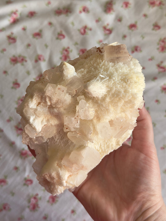 Pink Apophyllite on Mordenite