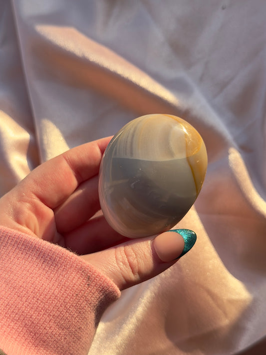Zebra Jasper Palmstone