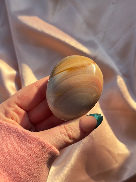 Zebra Jasper Palmstone
