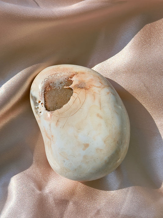HUGE Orca x Carnelian Palmstone